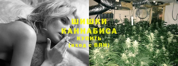 метадон Каменногорск