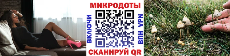 Псилоцибиновые грибы Psilocybine cubensis  Купить  Киселёвск 