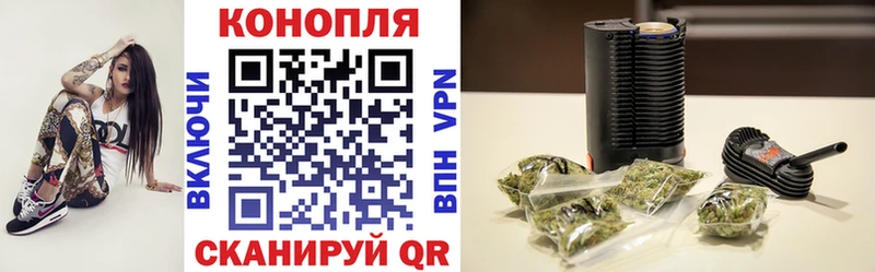 Шишки марихуана OG Kush  Купить  Киселёвск 